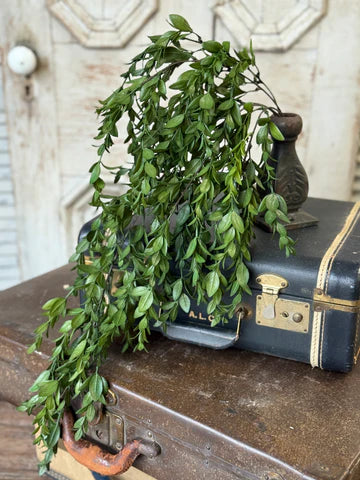 Nottswood Hanging Leaves
