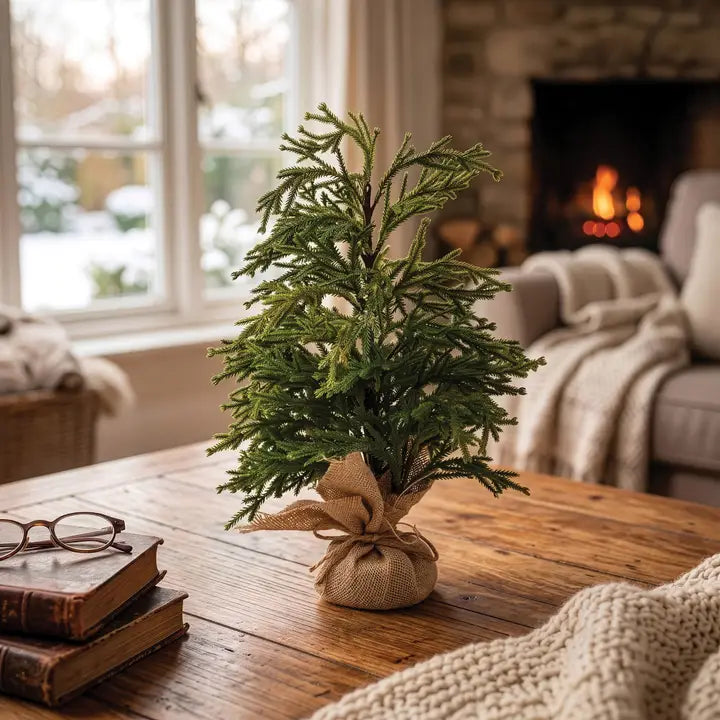 Austrian Pine Tree