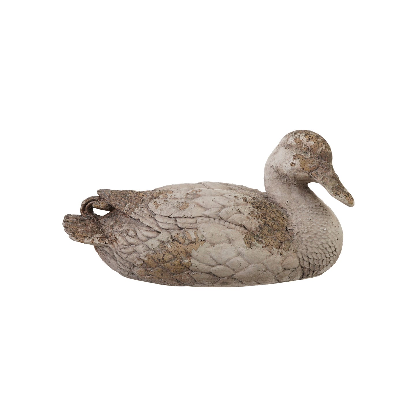 Distressed Duck
