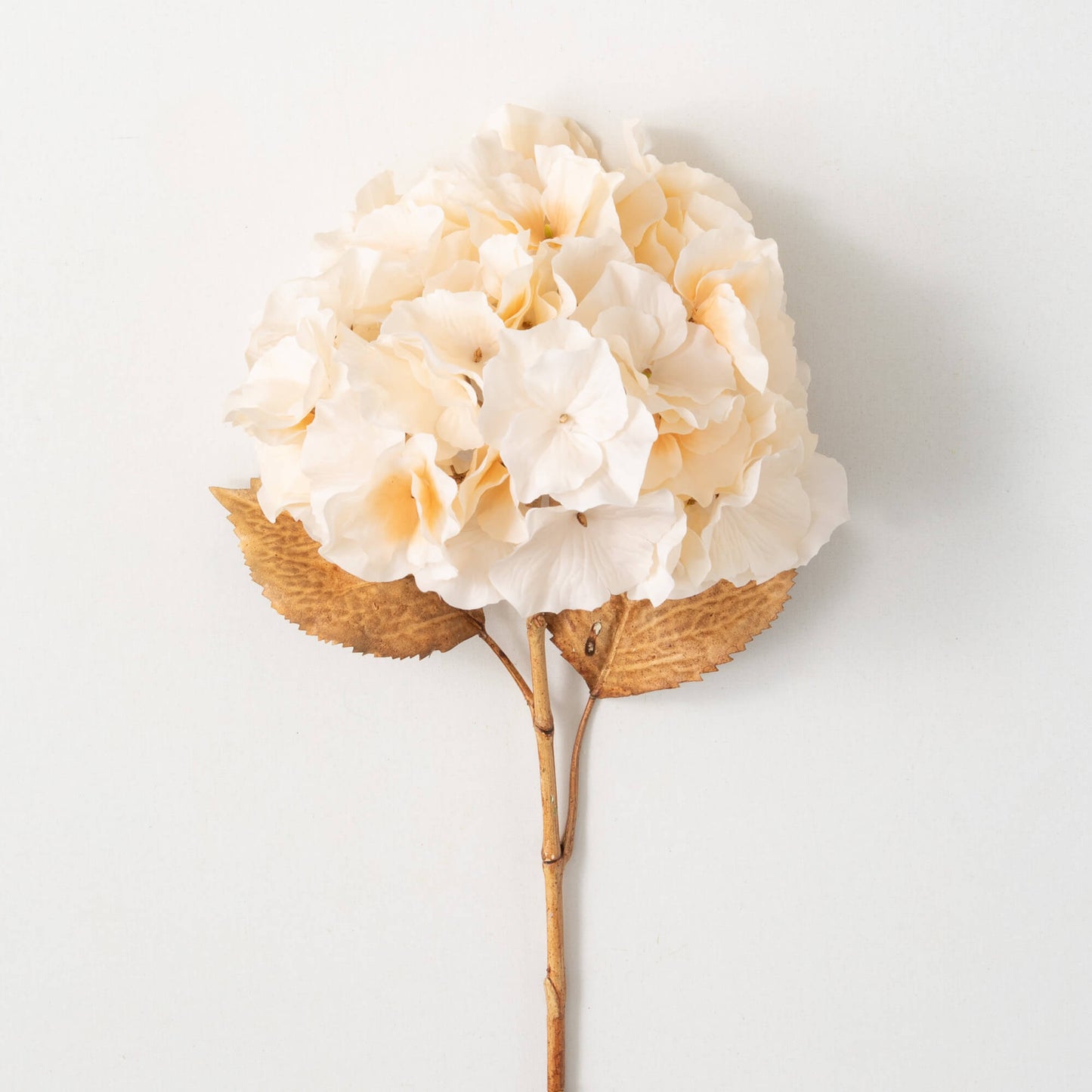 Billowy Soft Cream Hydrangea Stem