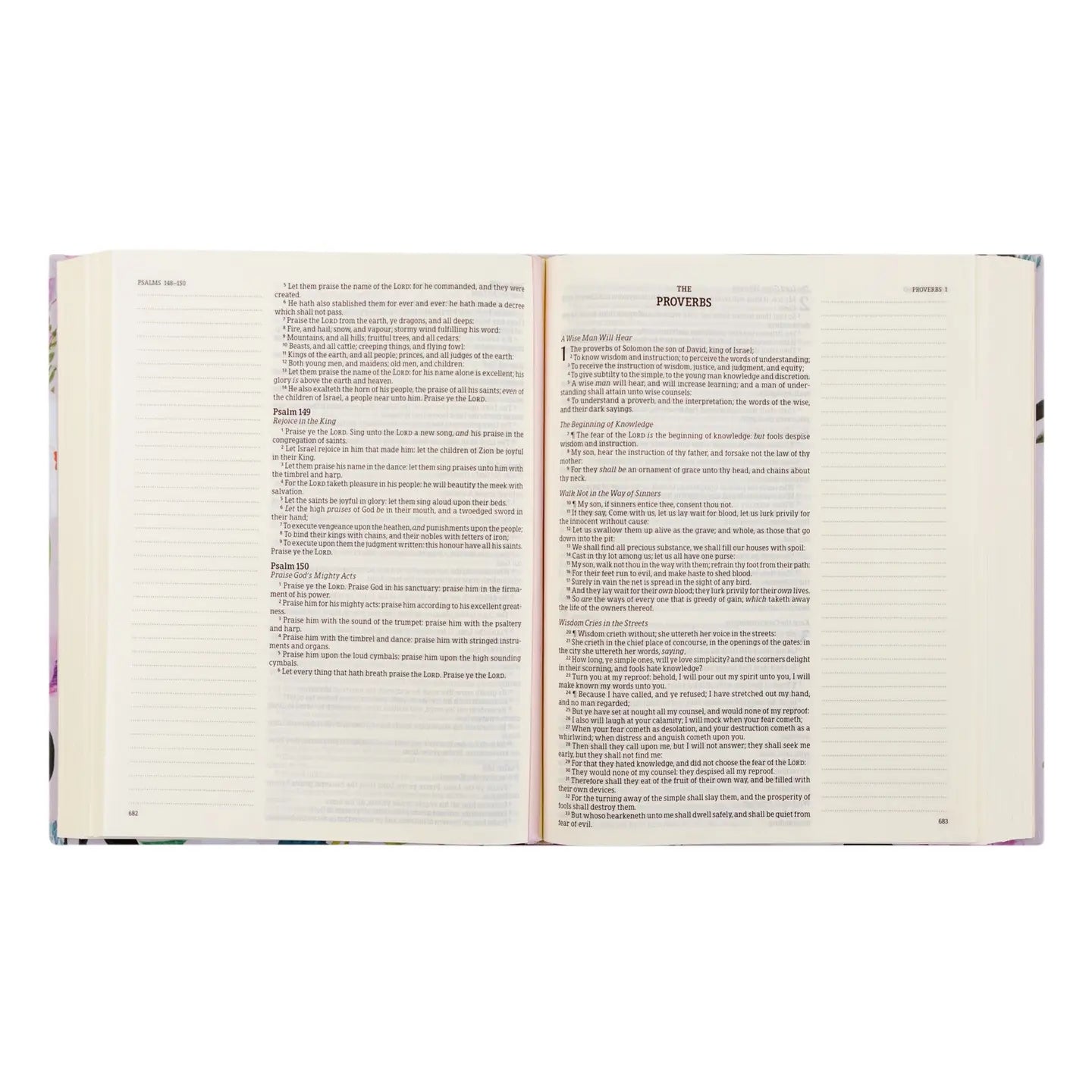 KJV Large Print Notetaking Bible Charlotte Theme