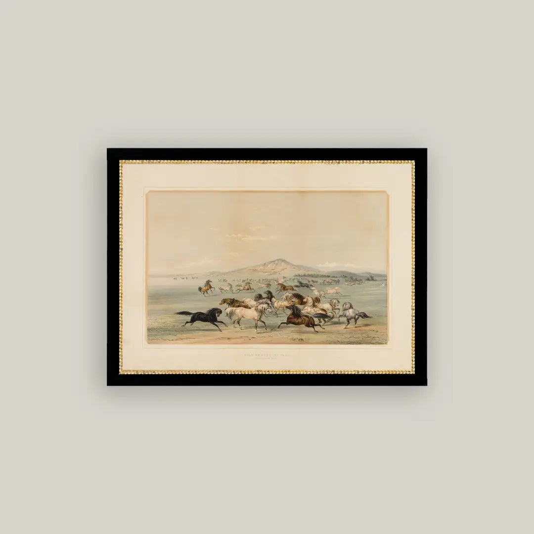 Field Of Horses Framed Print