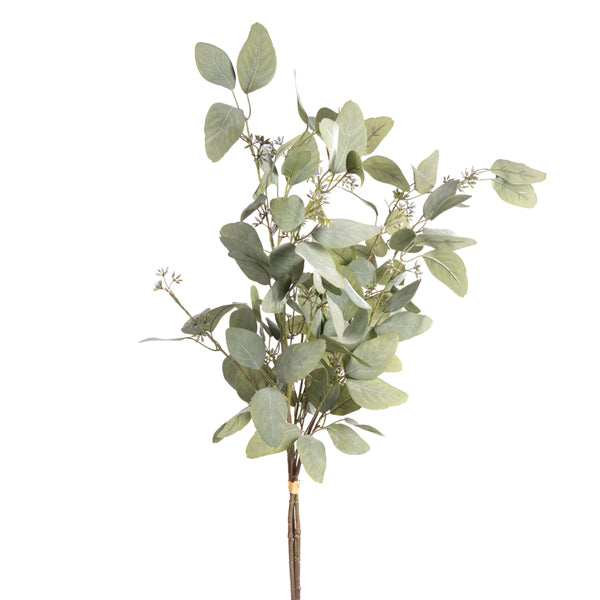 Eucalyptus Bundle