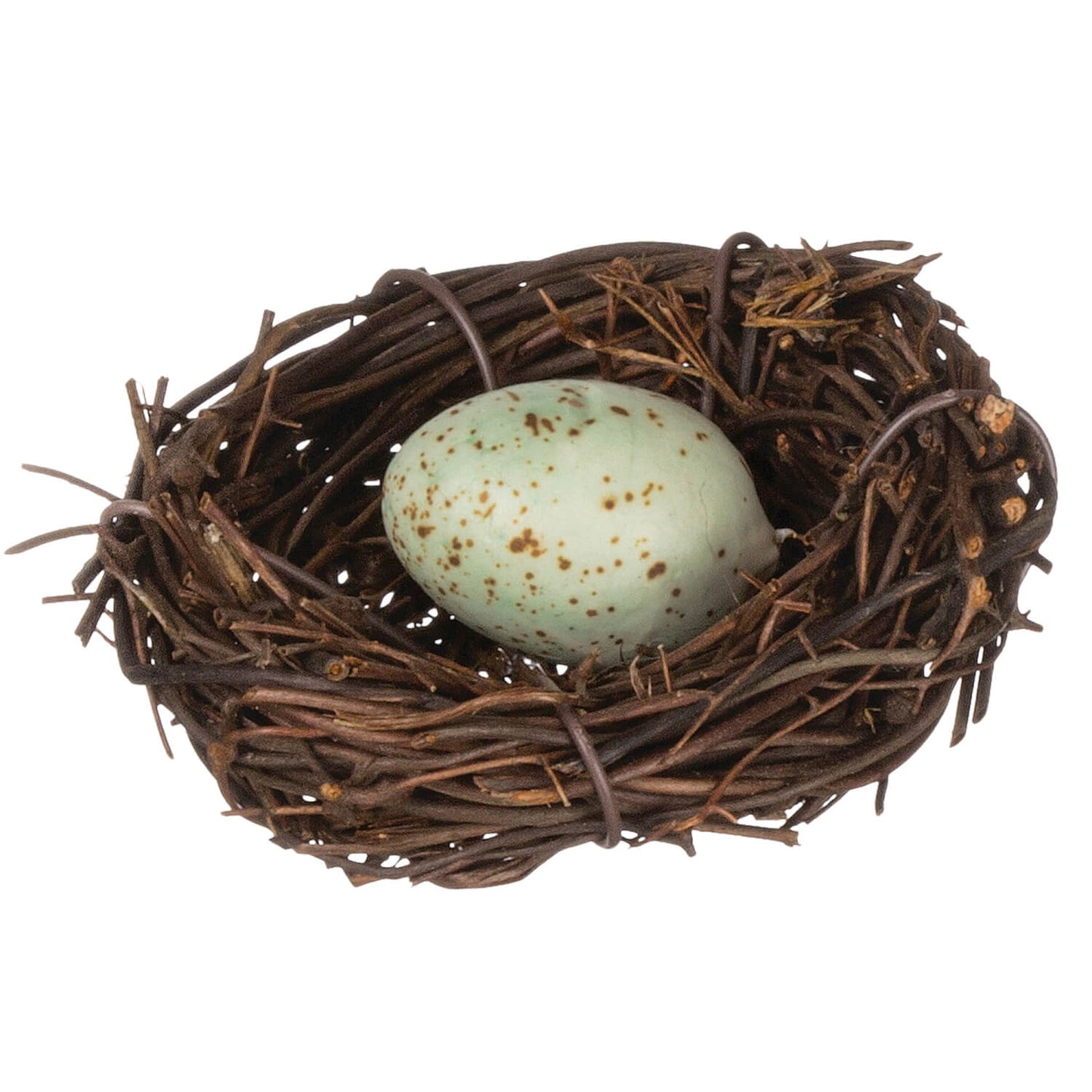 Nest with Egg