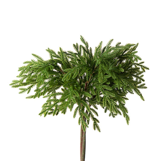 Pine Bundle