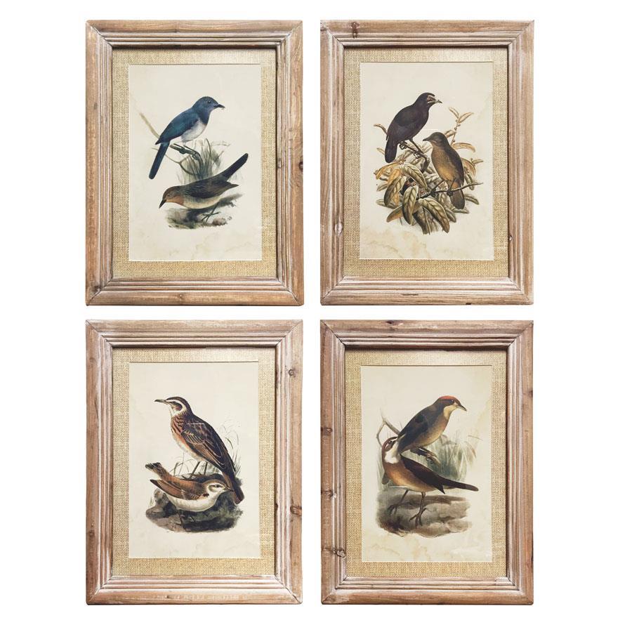 Weathered Framed Bird Prints