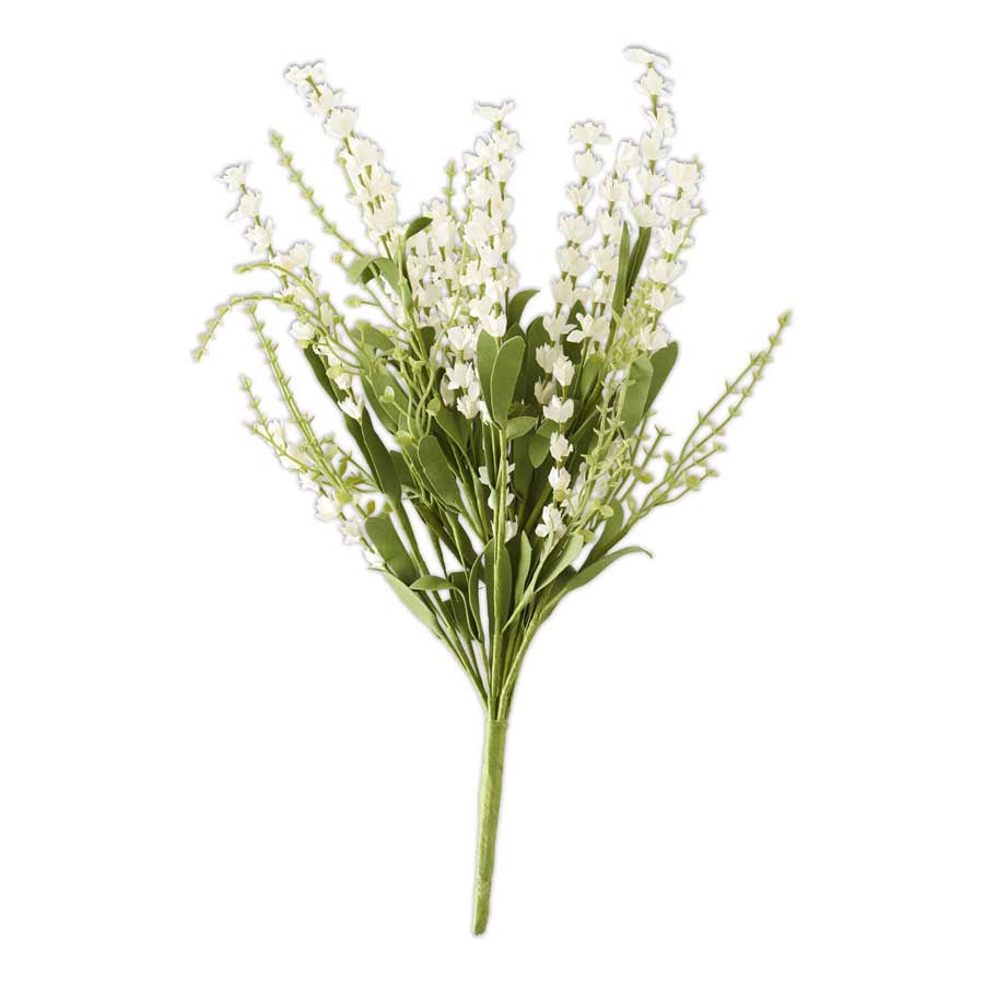 White Lavender Spray Bush