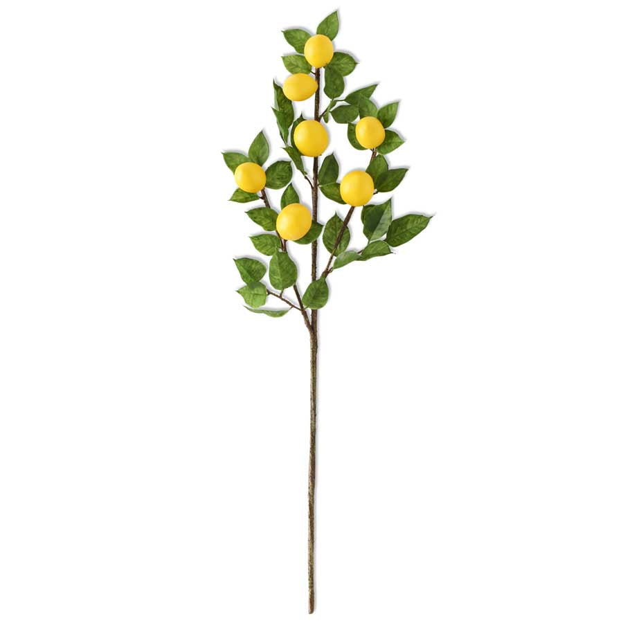 Lemon & Foliage Spray
