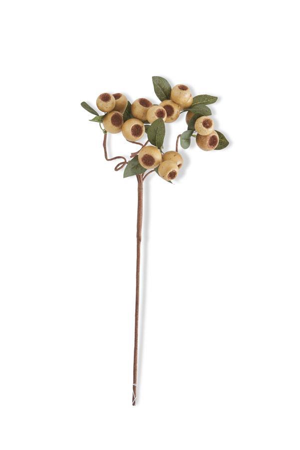 Cream Pod Stem