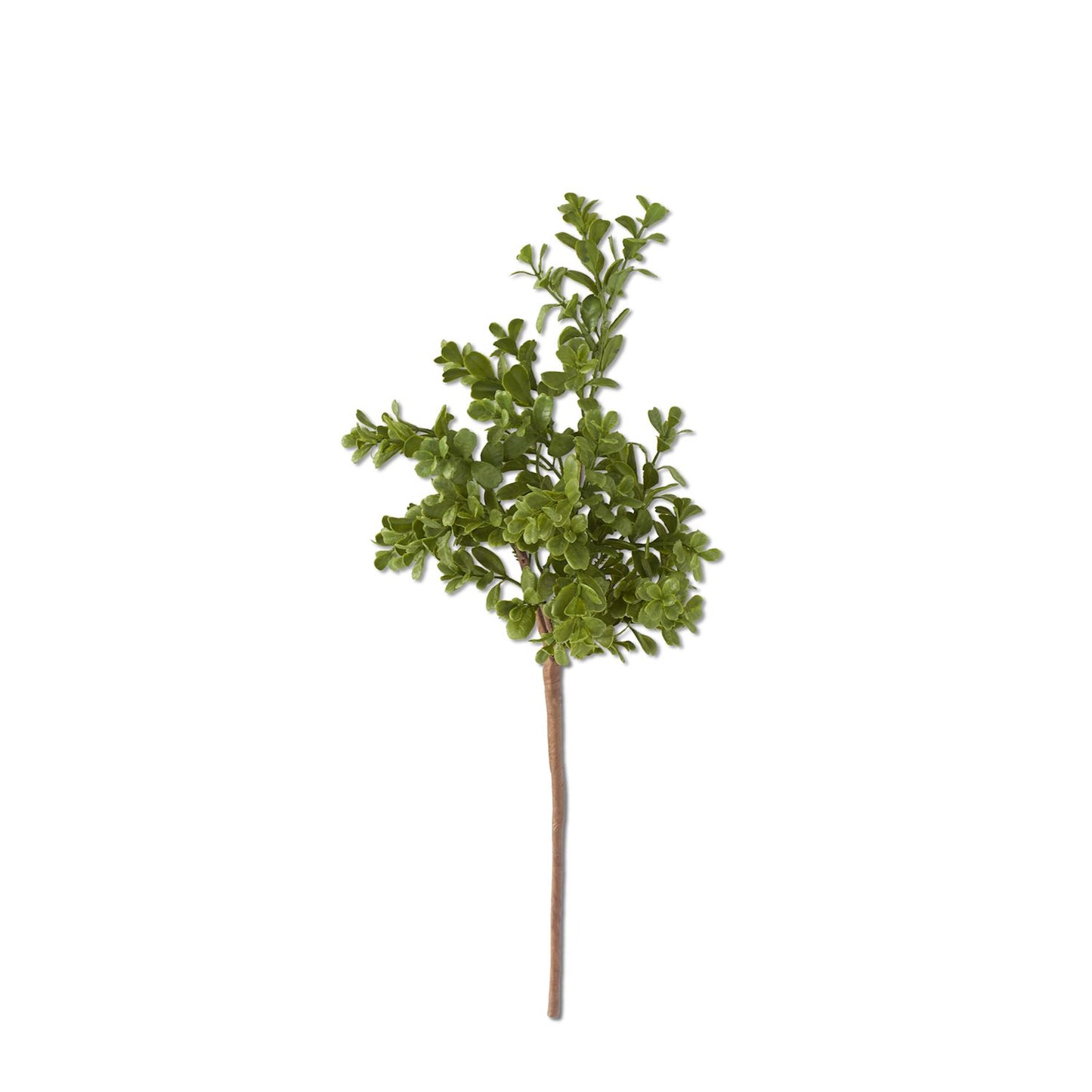 Real Touch Boxwood Pick