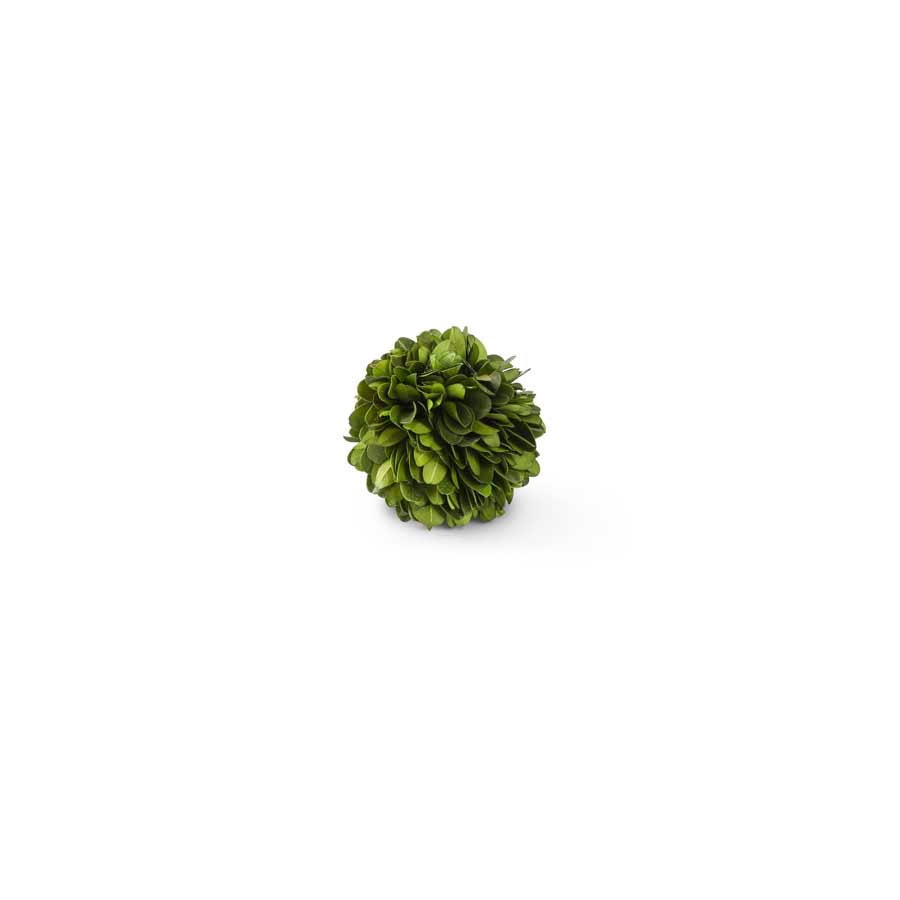 Preserved Boxwood Mini Ball