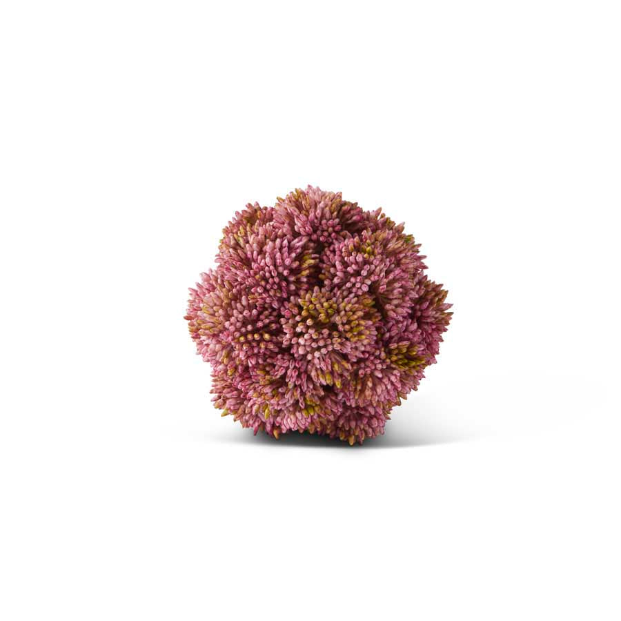 Sedum Ball