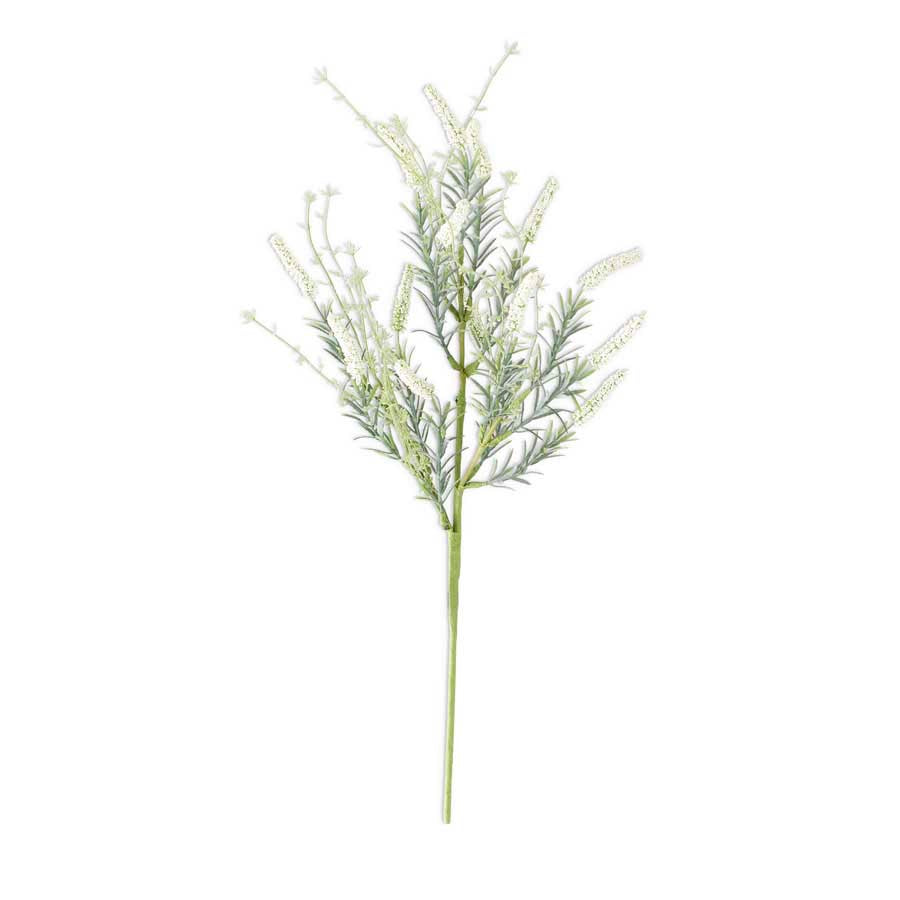 Cream Lavender Spray
