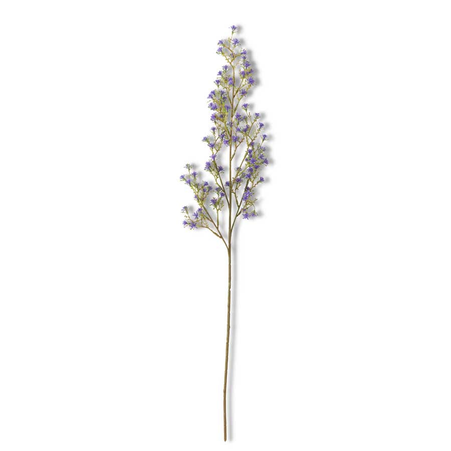 Purple Bud Stem