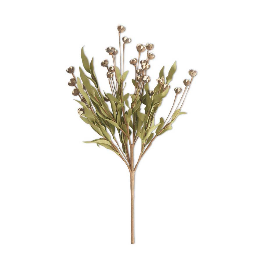 Cream Bud Bush