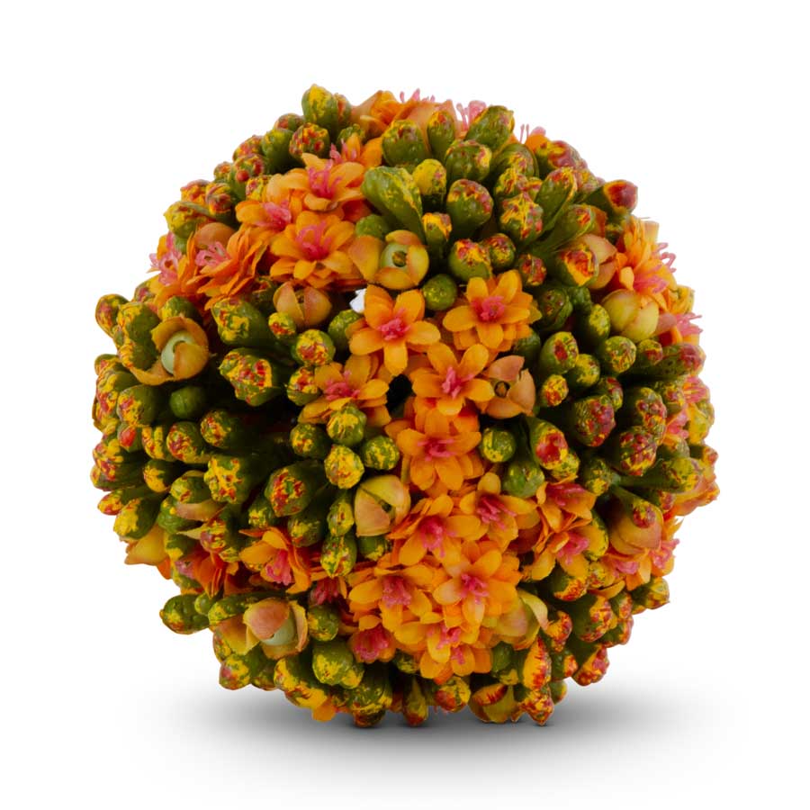 Orange Kalanchoe Ball
