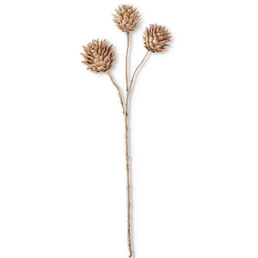 Brown Triple Head Artichoke Stem
