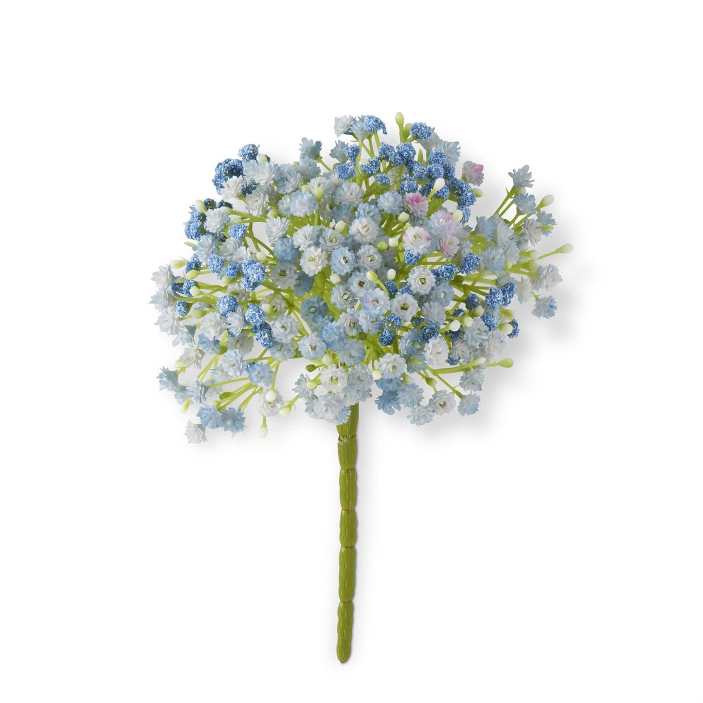 Blue Baby's Breath