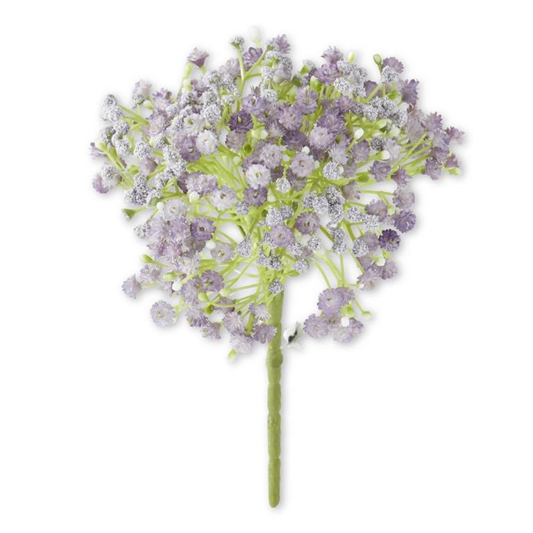 Purple Baby's Breath