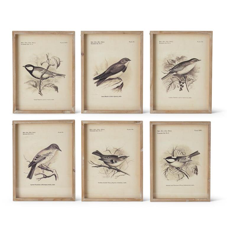 ASSORTED BROWN WOOD FRAMED BIRD PRINTS