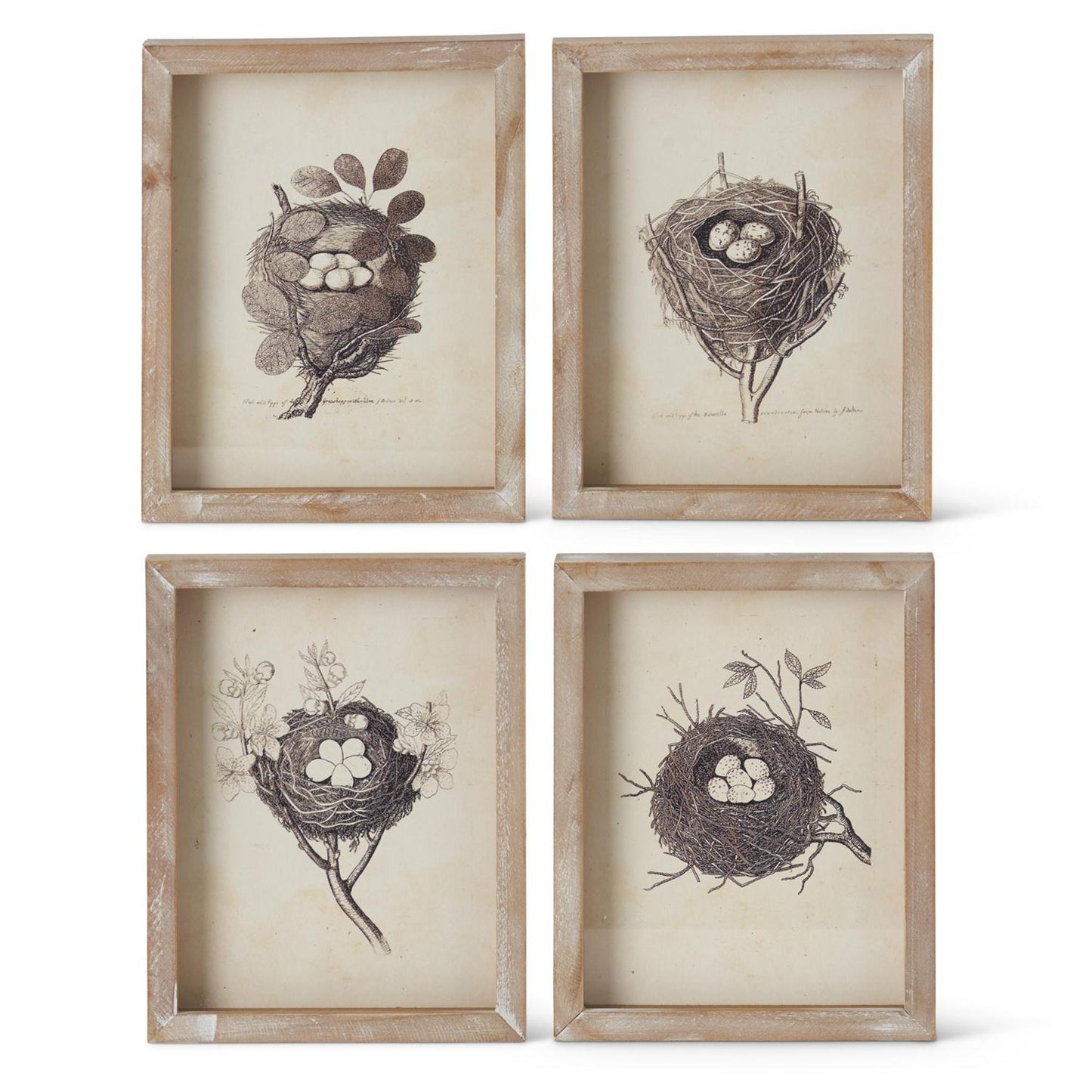 ASSORTED BROWN WOOD FRAMED NEST PRINTS