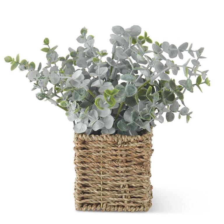 POWDERED EUCALYPTUS IN WOVEN BASKET