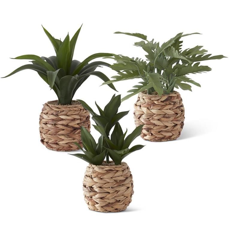 Round Woven Basket with Foliage