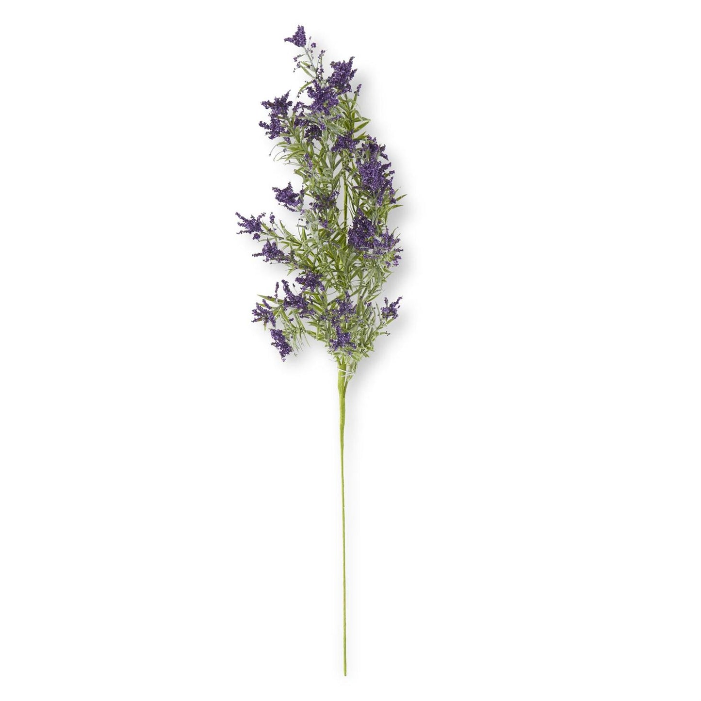 Lavender & Purple Stem