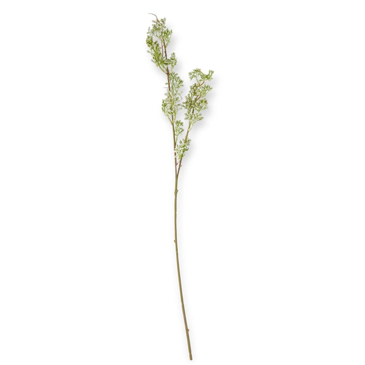 Powdered Green Bud Stem