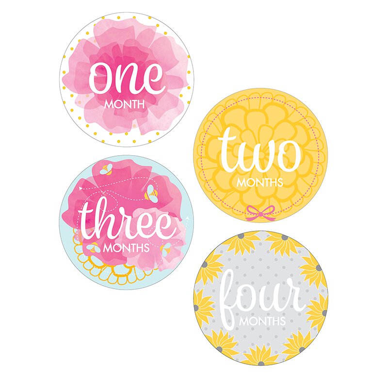Baby Girl Monthly Sticker Set
