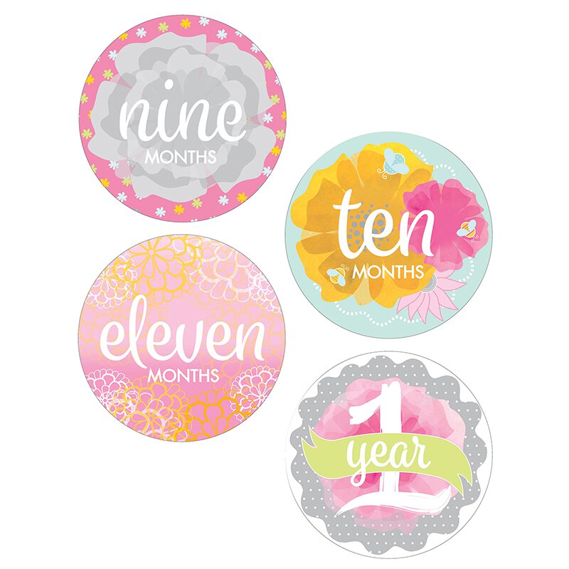 Baby Girl Monthly Sticker Set
