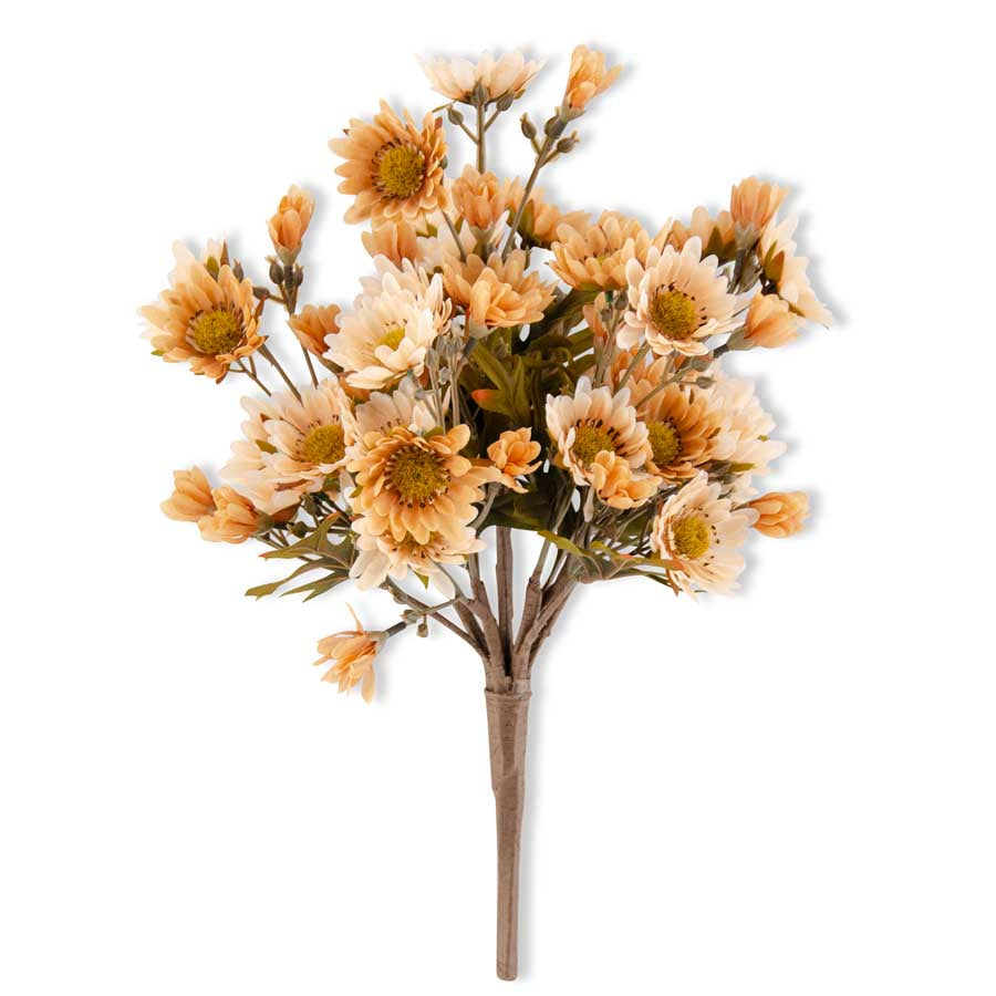 Beige Mum Bush