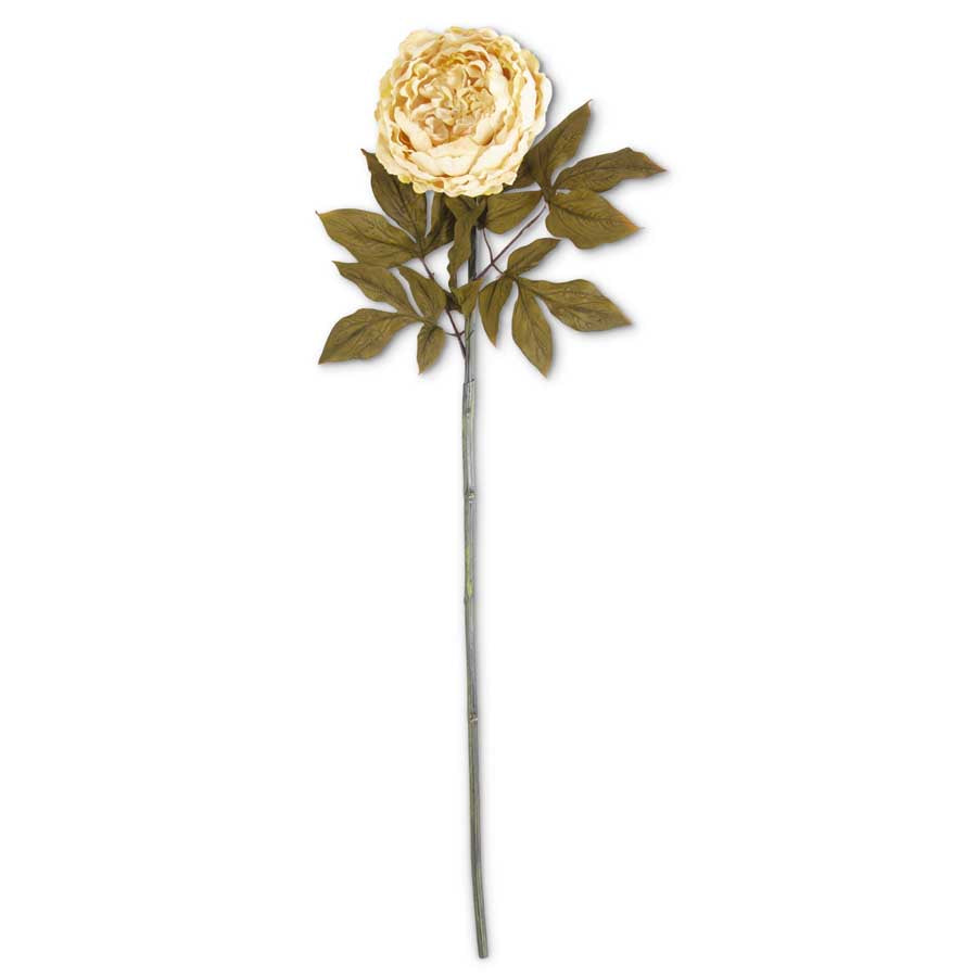 Cream Peony Stem