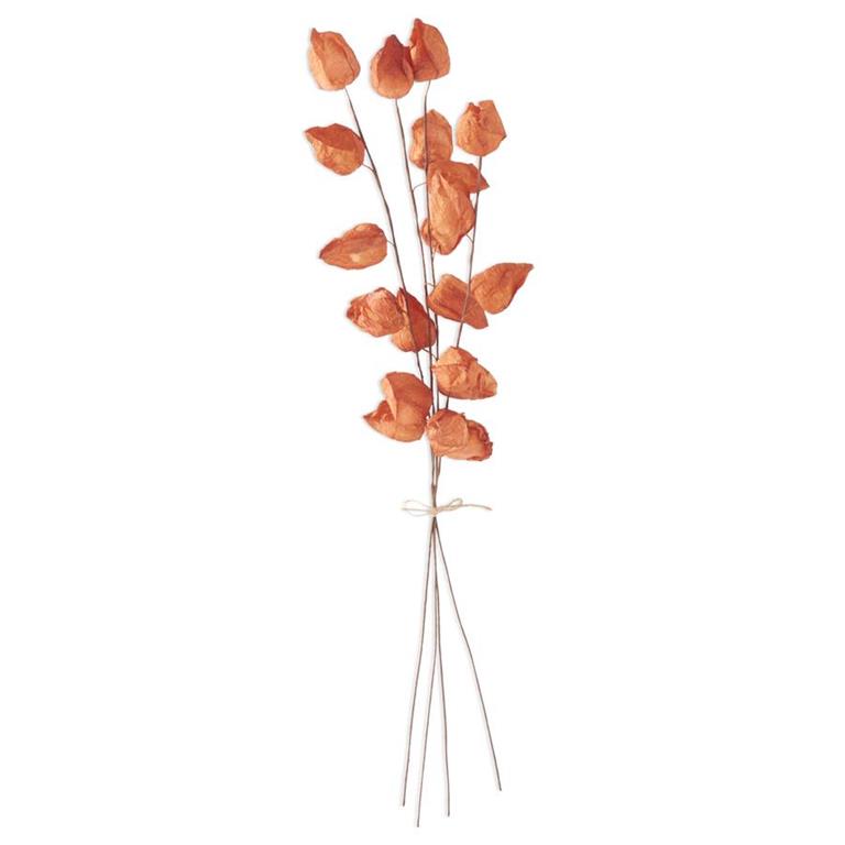 Orange Chinese Lantern Bundle