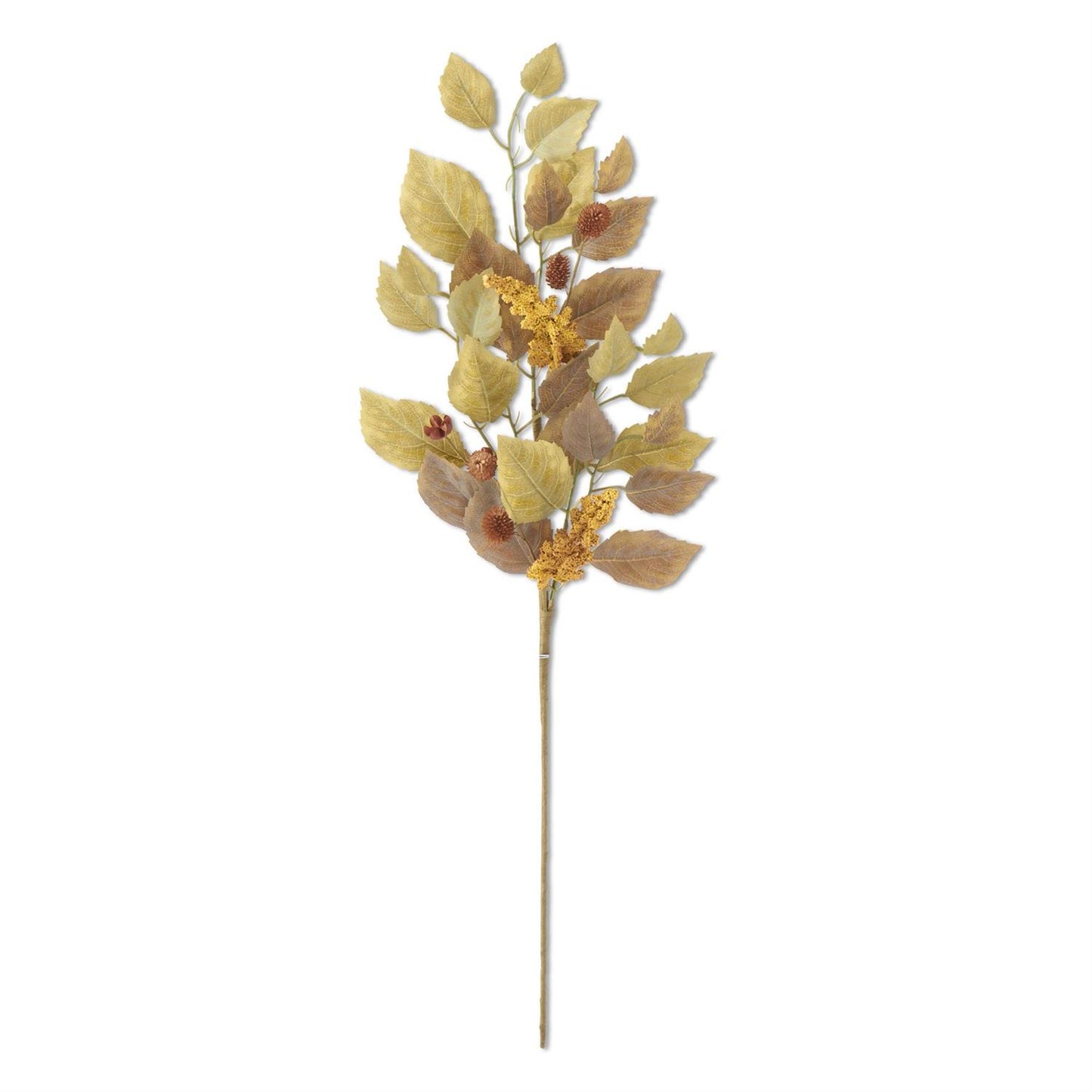 Green Birch Leaves Stem