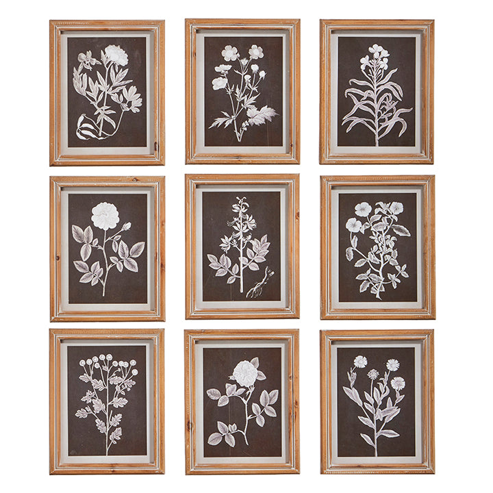Botanical Framed Prints