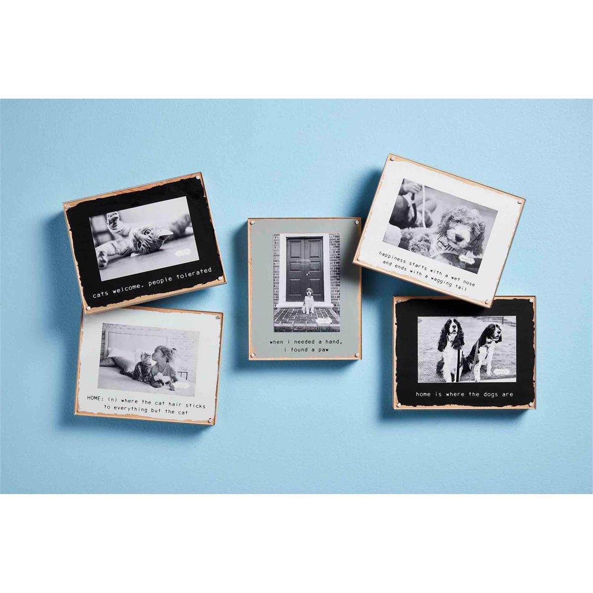 Acrylic Pet Frames