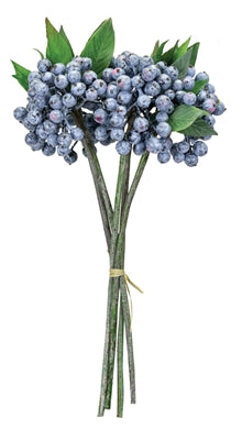 Blueberry Bundle