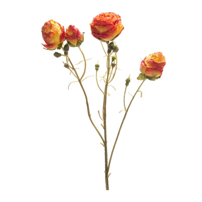 Rose Spray