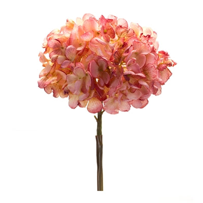Pink Hydrangea Stem