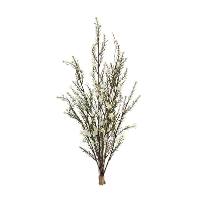 Leptospermum Bundle