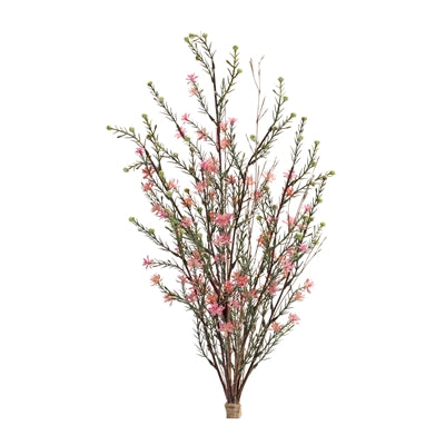 Pink Leptospermum Bundle