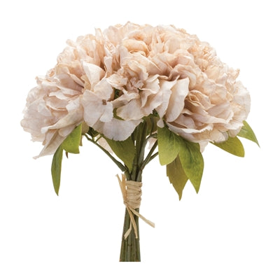 Peony Bundle