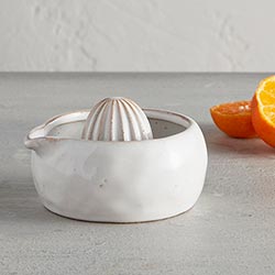 Citrus Juicer