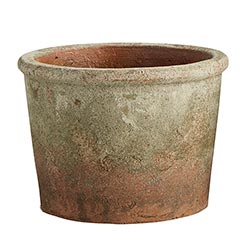 Terra-Cotta Flower Pot