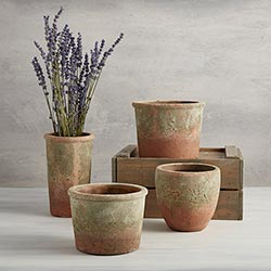 Terra-Cotta Flower Pot