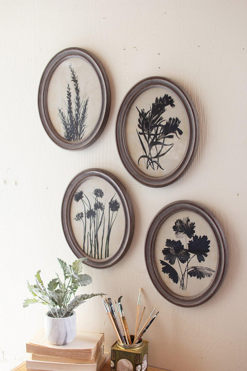 Framed Oval Botanical Prints
