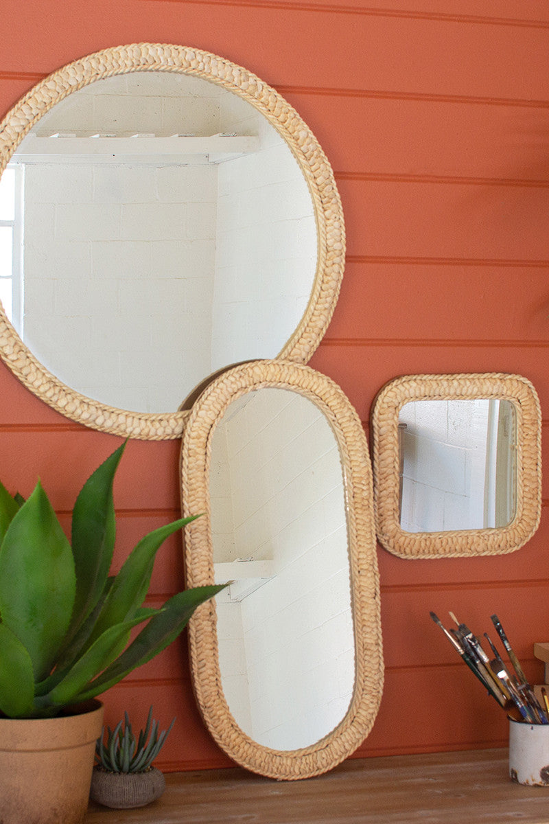 Seagrass Mirror DNR