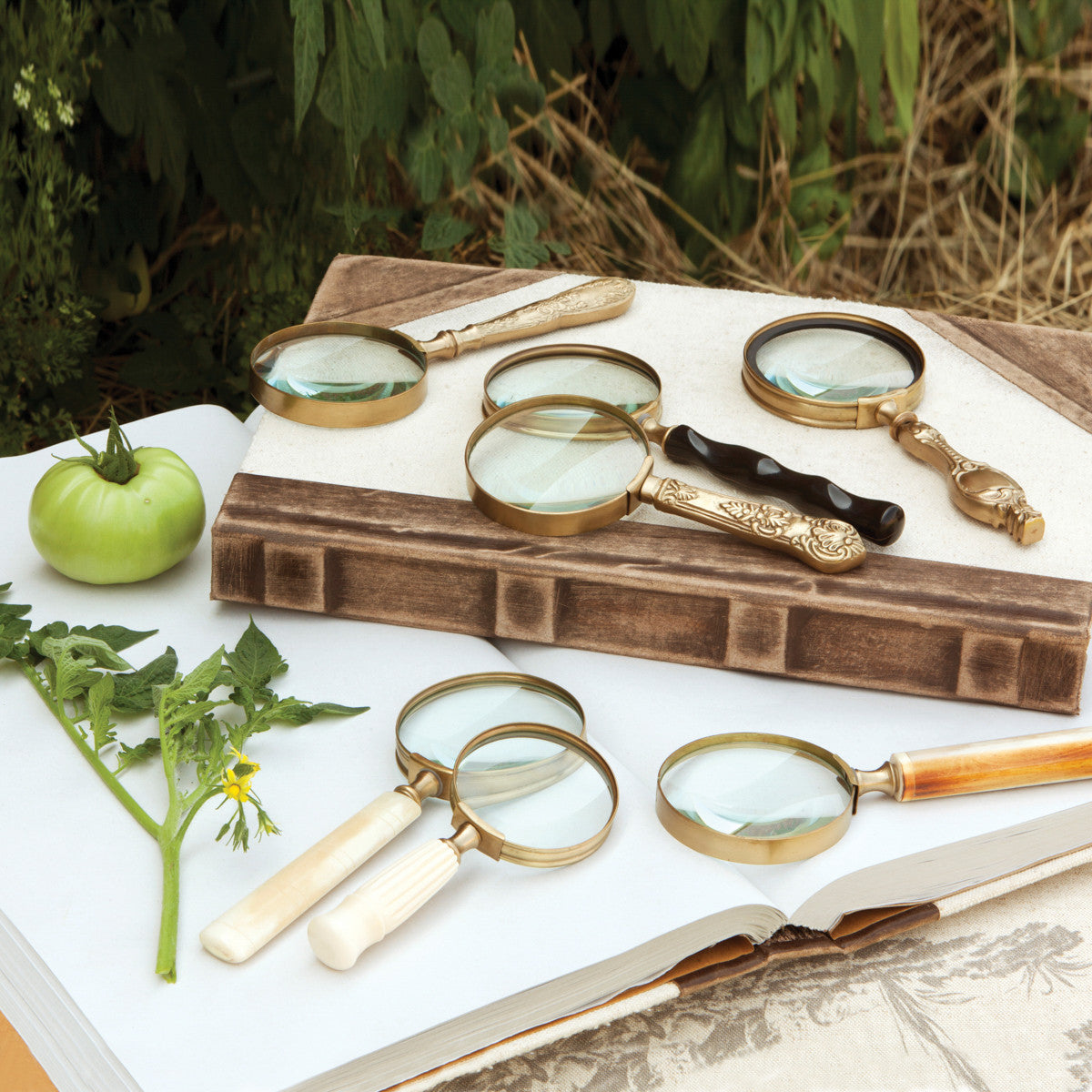 Magnifying Glass Collection – Chic Artique