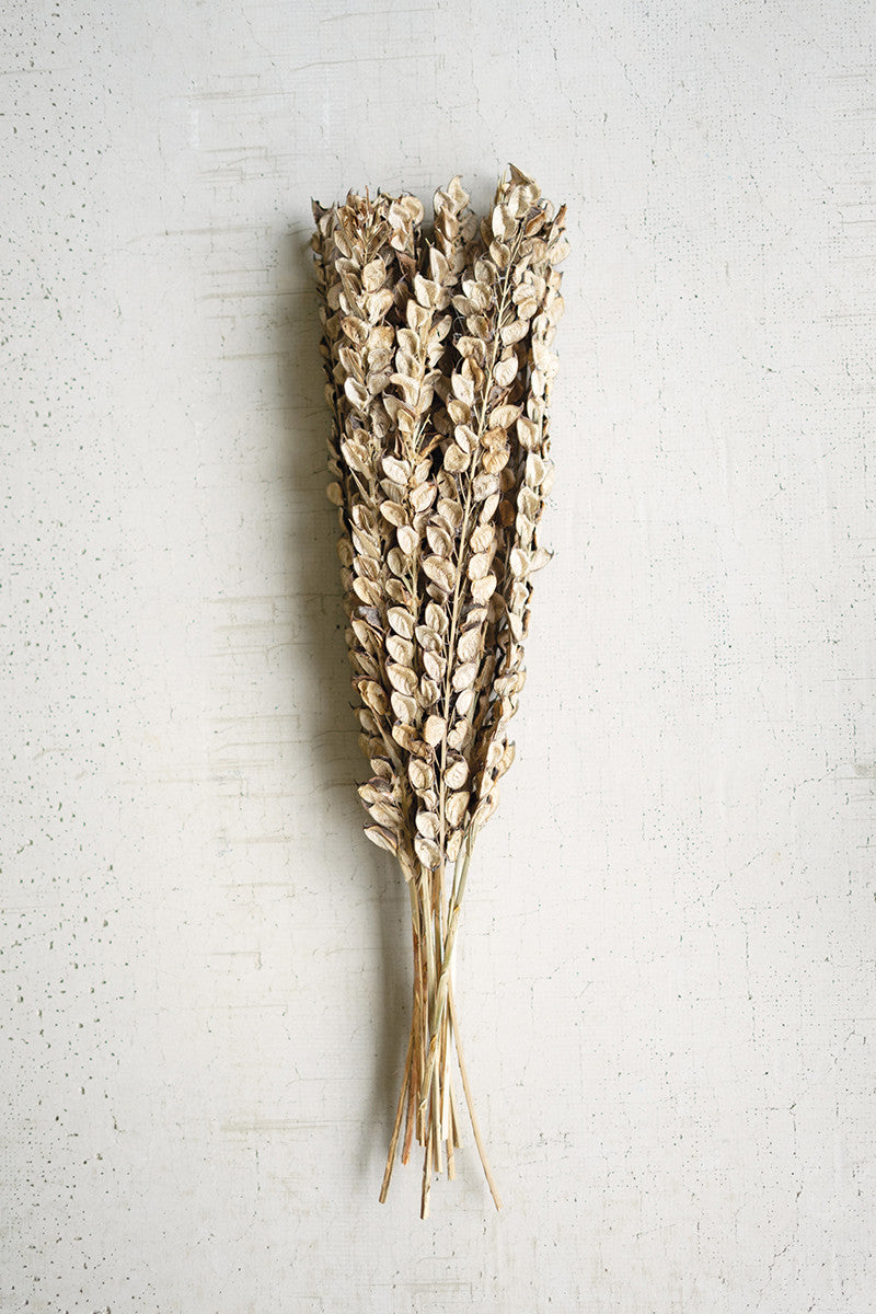 Bundle of Cotton Petal Stems